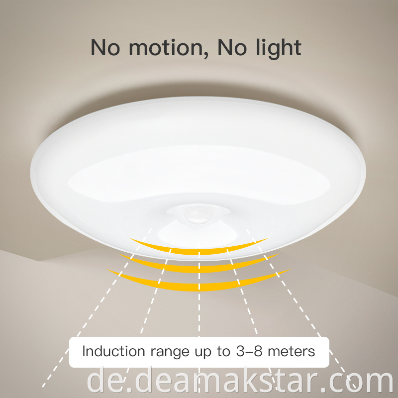 Ceiling Sensor Light